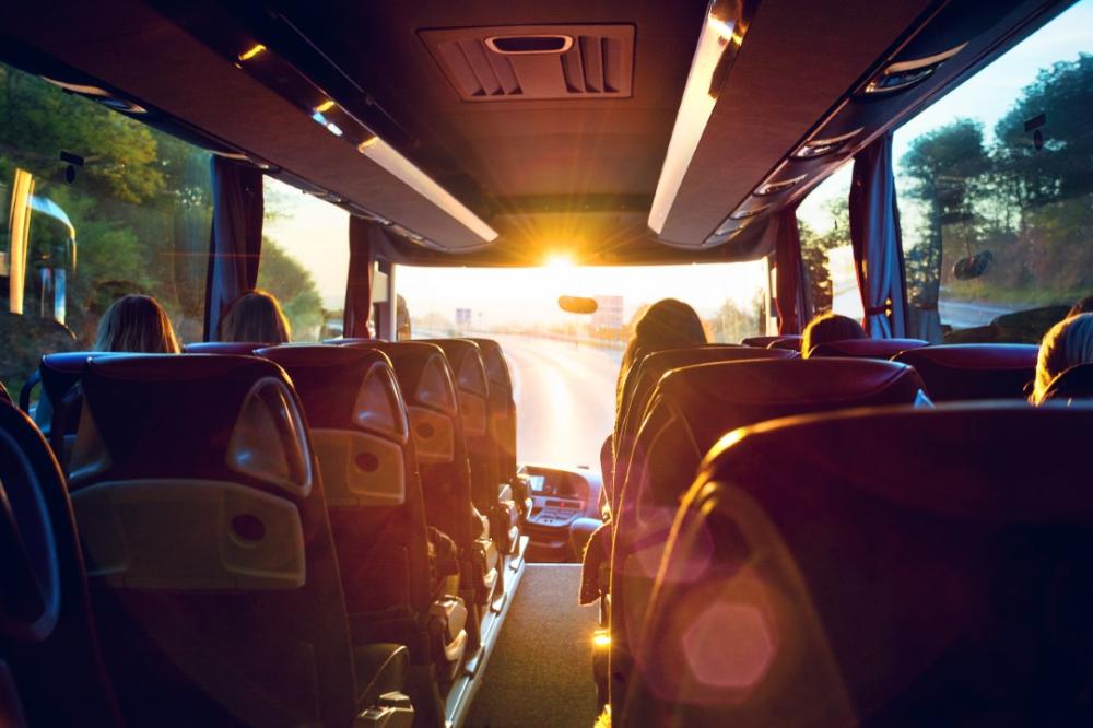 bus